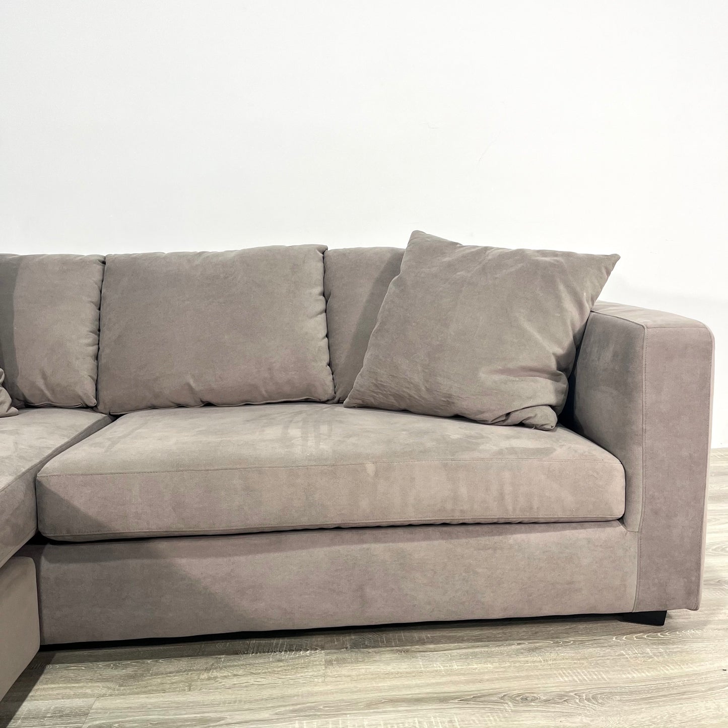 The Grey Carly