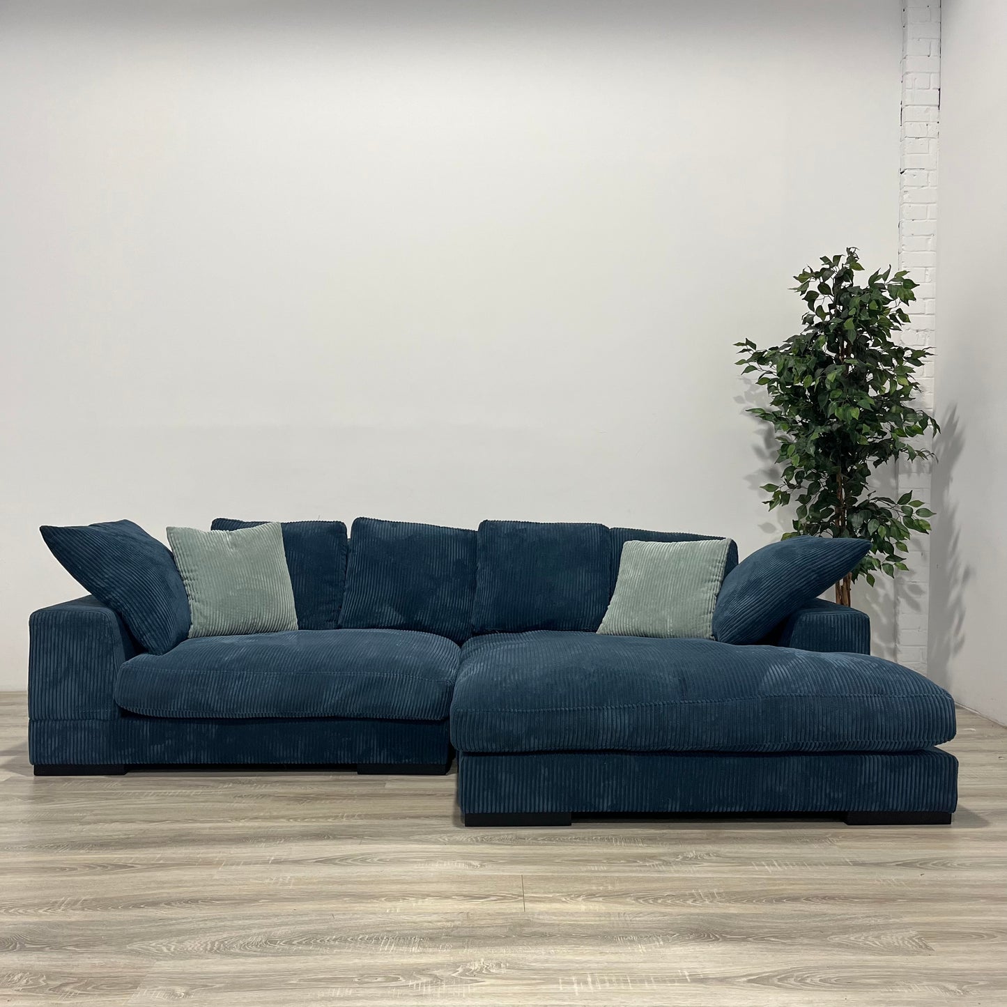 The Plunge Sectional
